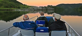 Wildlife viewing boat and Cattle Egrets